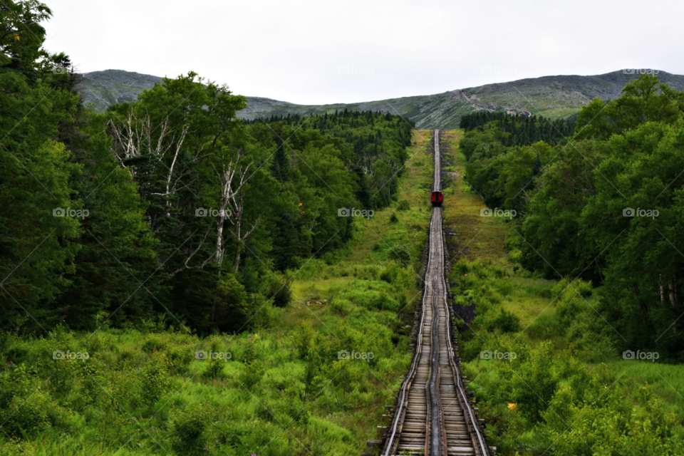 The rail road 