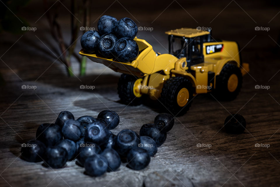 wheel loader loaded with blueberries close up