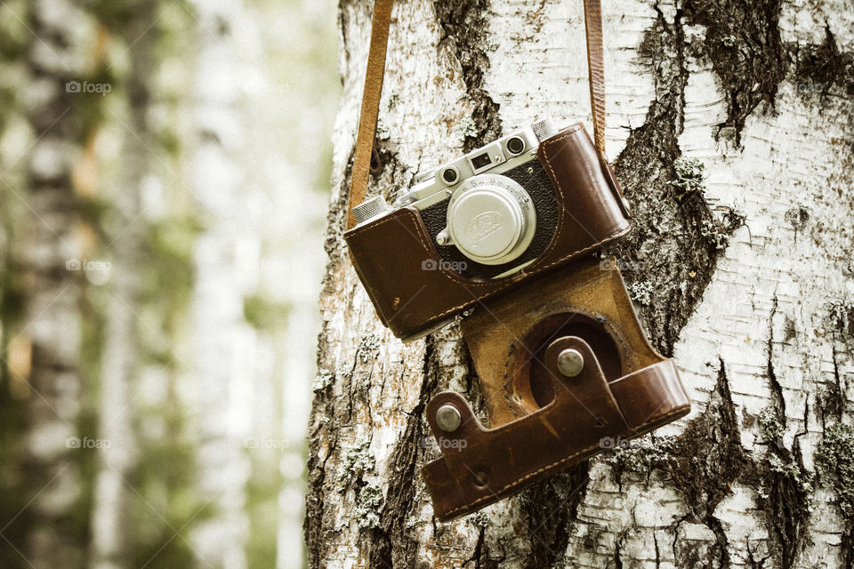 Forgotten camera I the forest