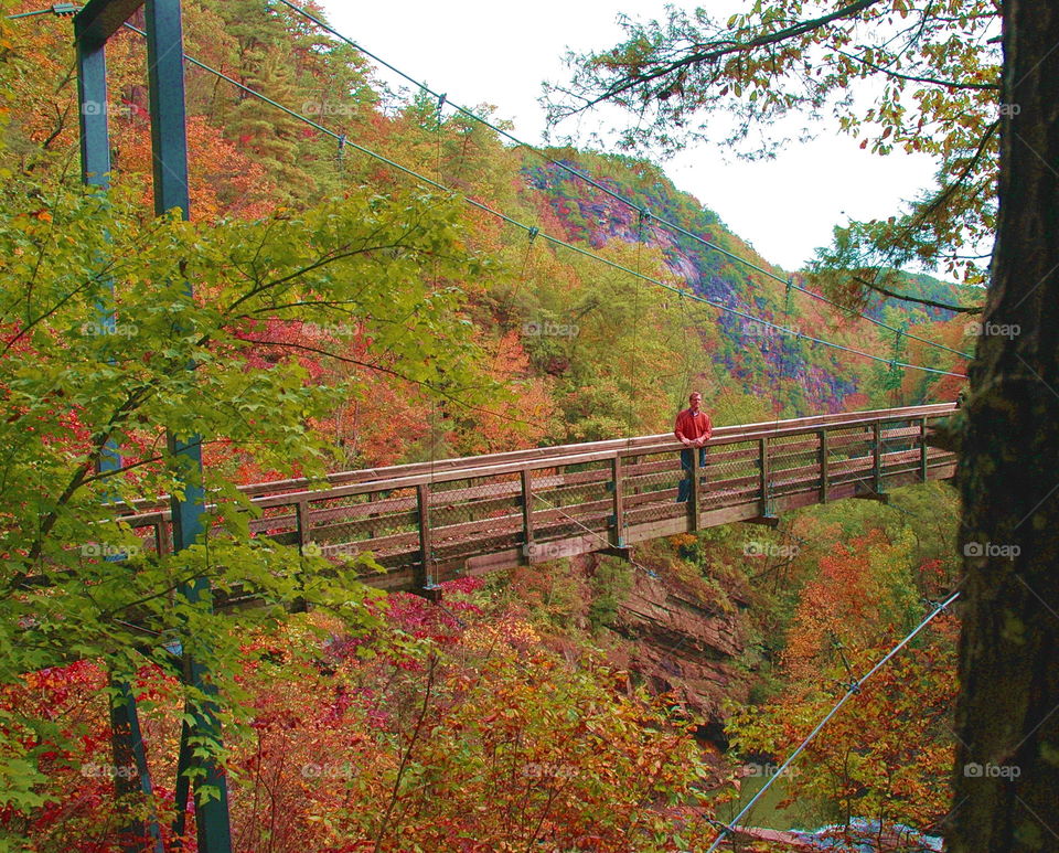 Fall in the Mountains