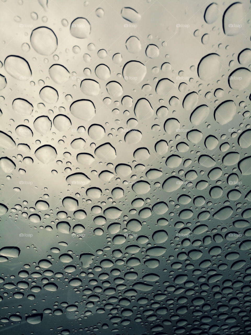 Water drops on grass