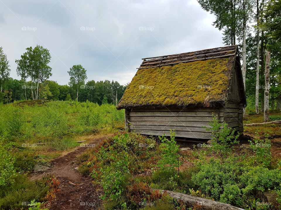 old log cabin
