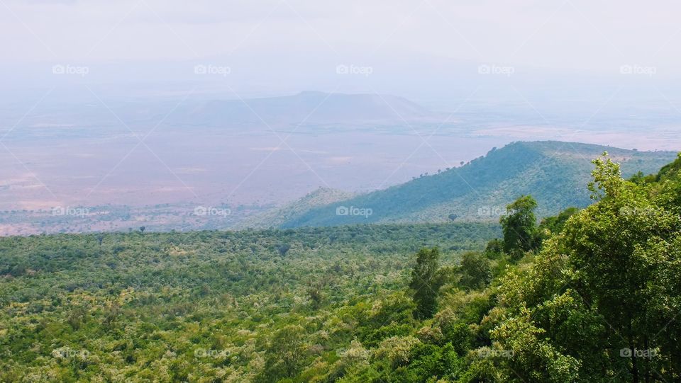 Rift Valley