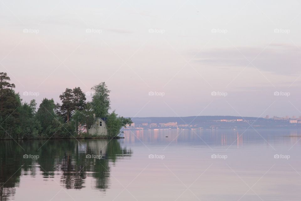 Trees and lake