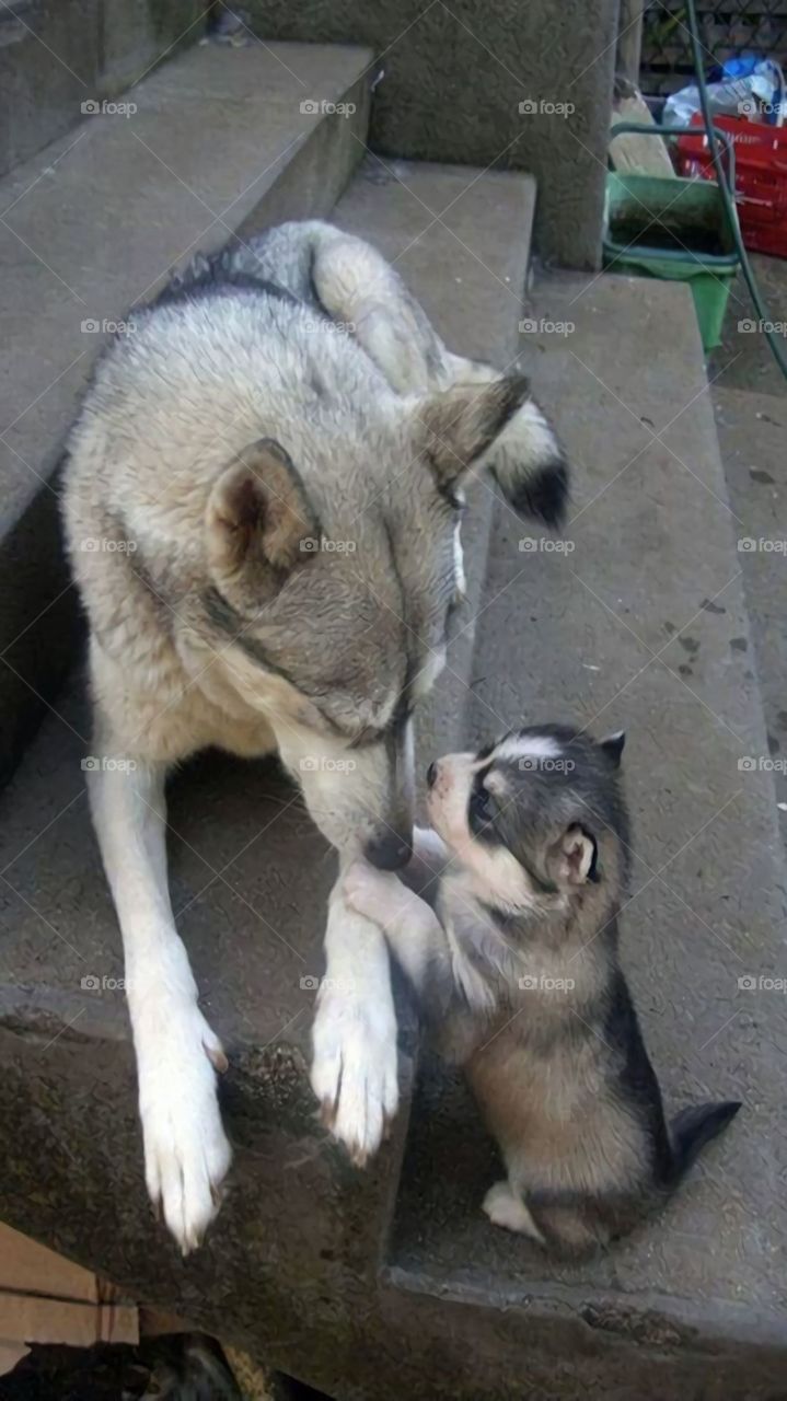 mom and daughter