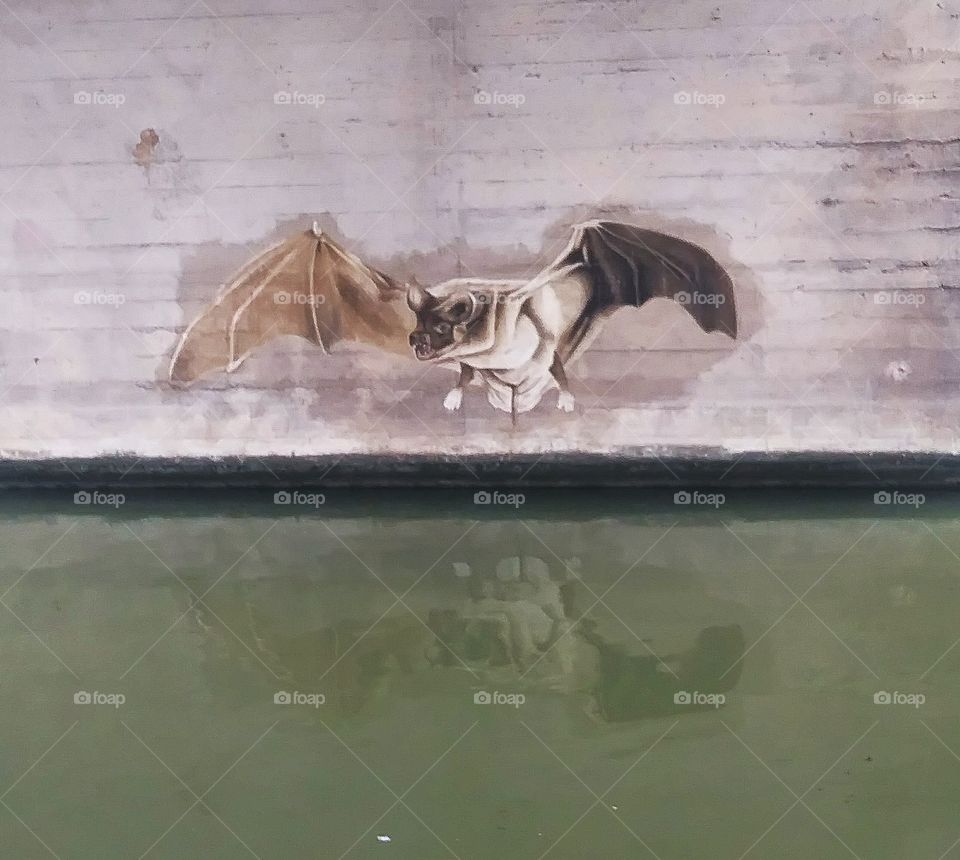 bat art on over the water