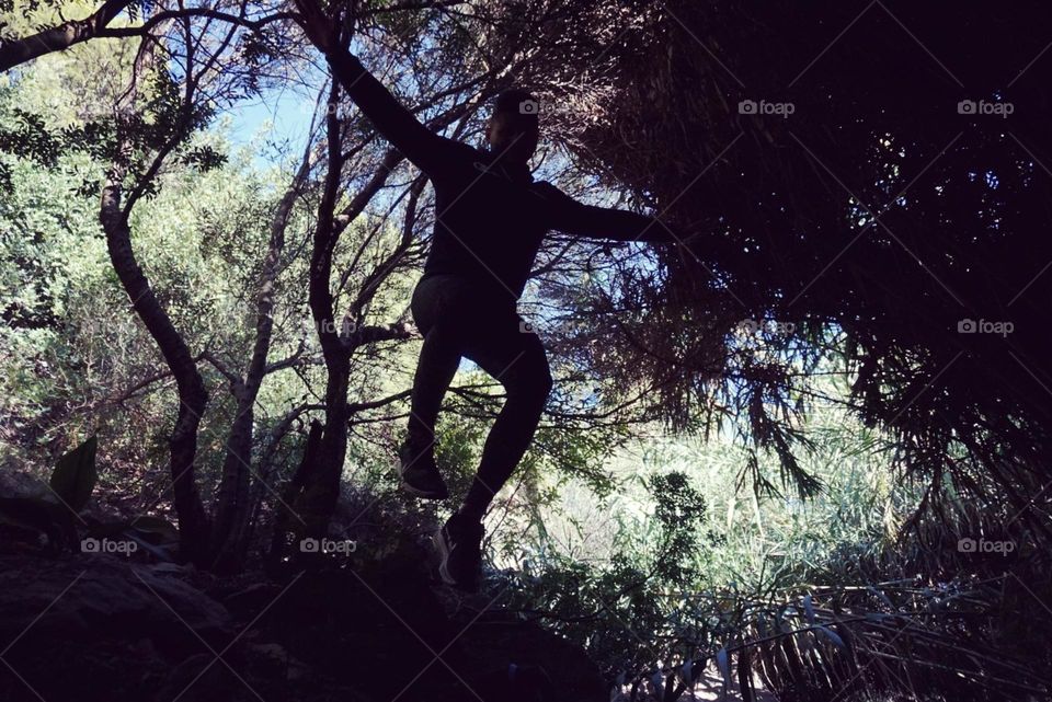 Forest#trees#nature#leaves#colors#human