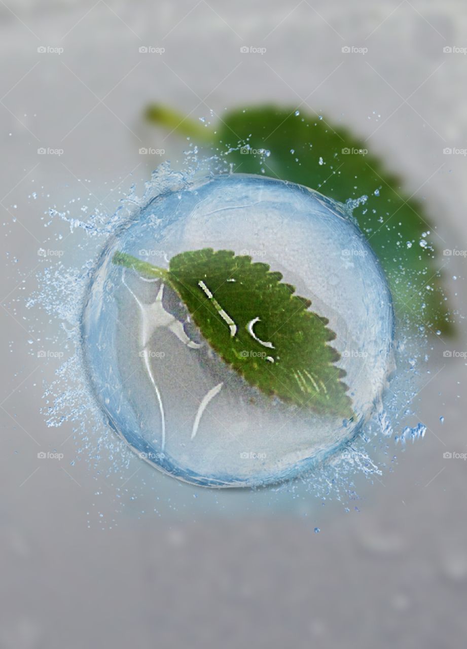 Leaf inside a water drop