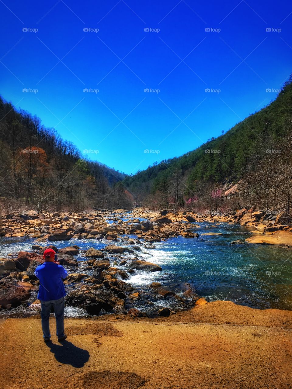 Rear view of man photographing at lake