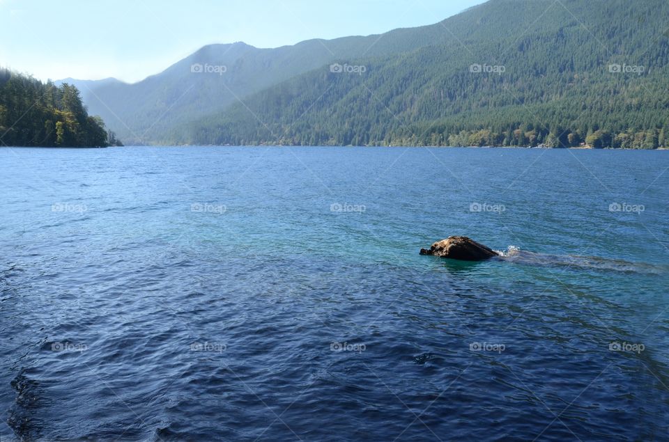 Lake Crescent in Olympic National Park of Washington state.