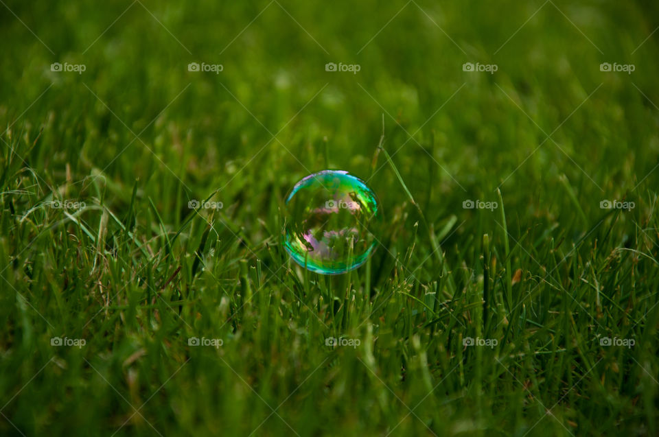 Bubble at grass