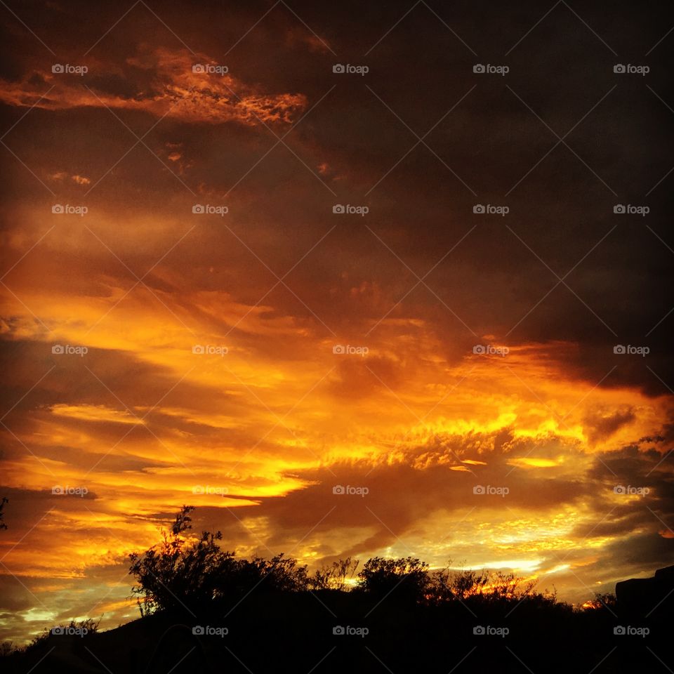 Sunset in New Mexico 