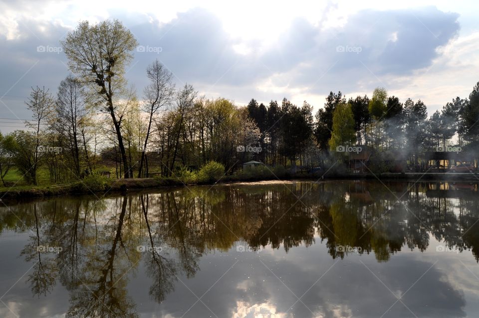 Forest and the lake 