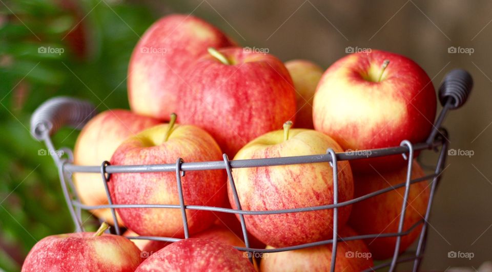 Fruits - Gala apples in a wire basket with a partially peeled apple and peeler on a red bandana-print tablecloth