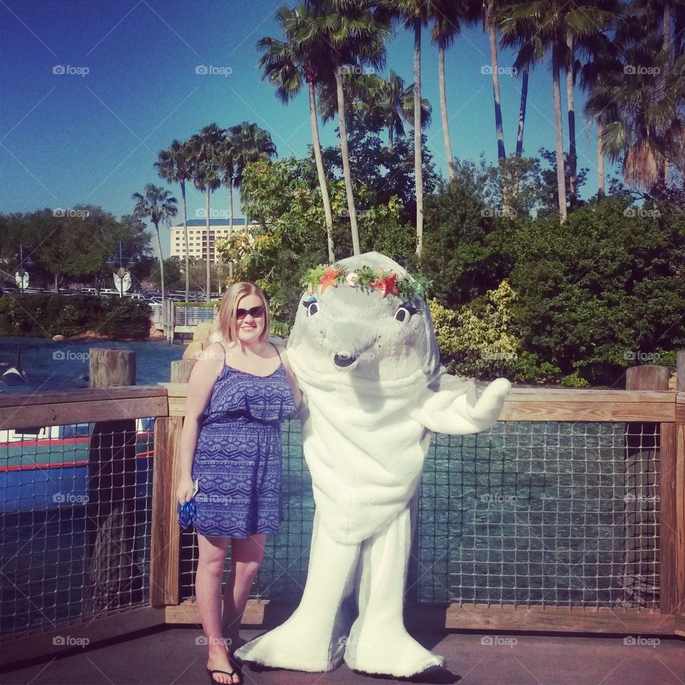 Dolphin. picture with a dolphin at sea world
