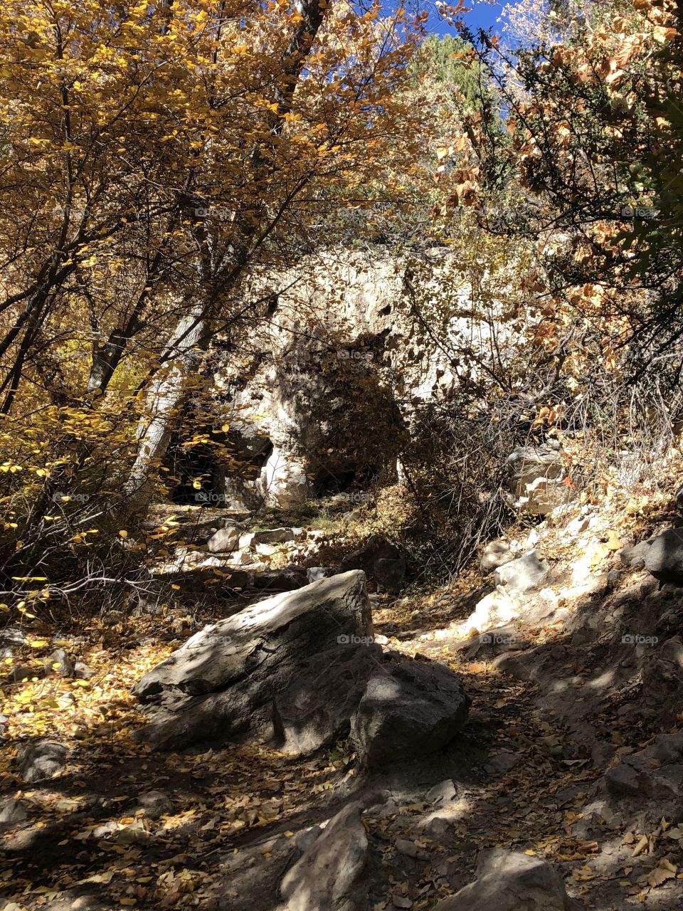 Hiking trail in Sandia Mountains