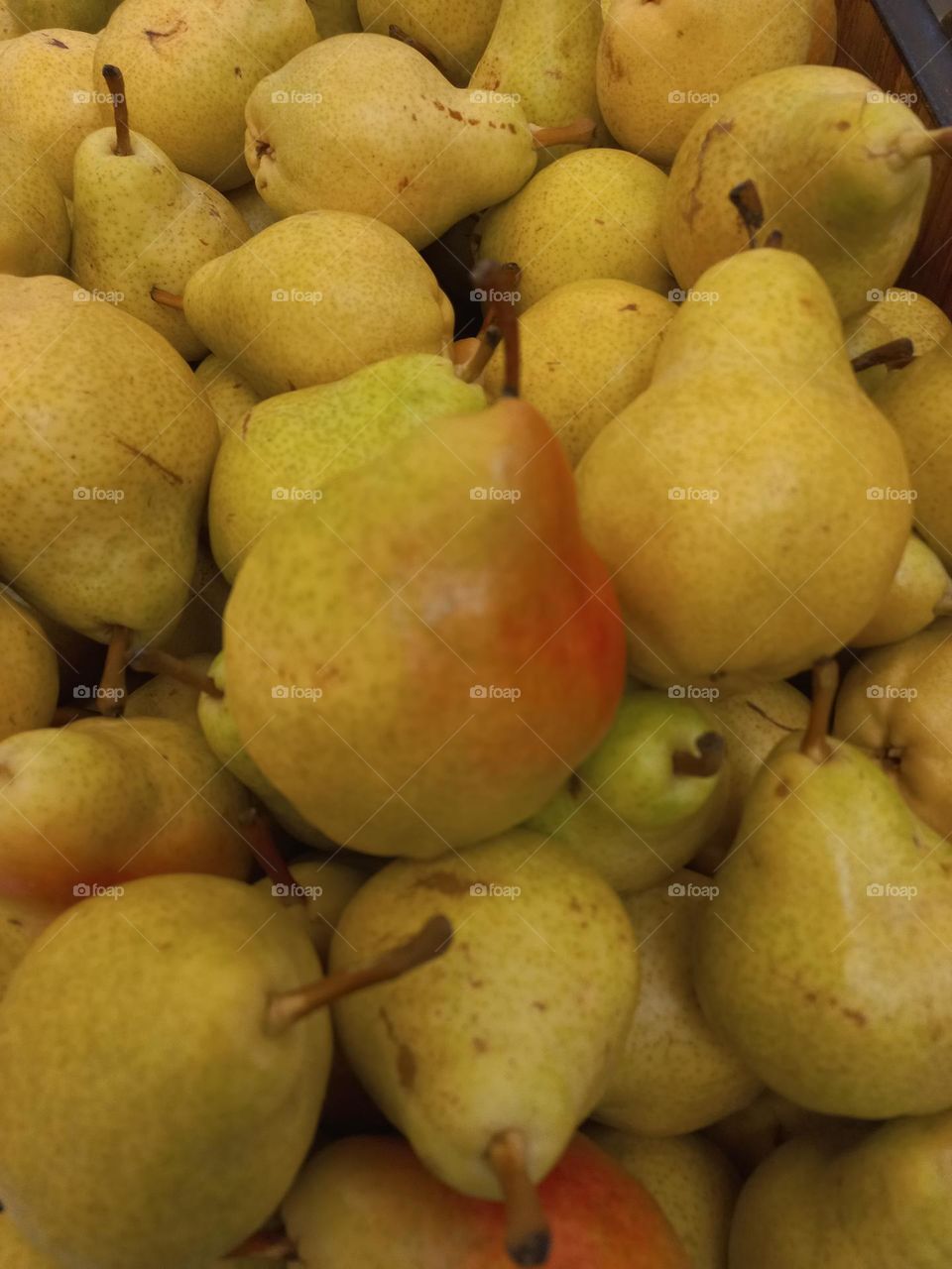 Pera Williams, fruta rica em nutrientes, com grande quantidade de minerais, vitamina C, antioxidantes, como flavonoides,  betacaroteno, luteína e zeaxantina. É a variedade mais consumida no Brasil  e apreciada no mundo inteiro