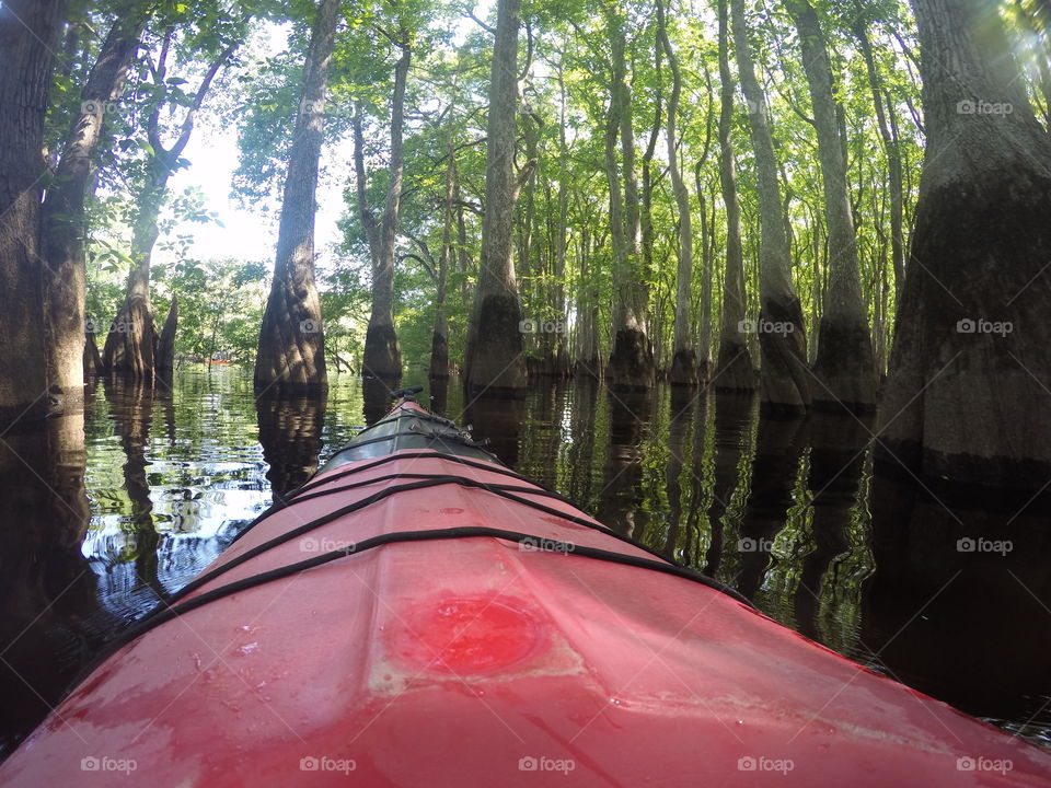Kayaking in Ebenezer Creek