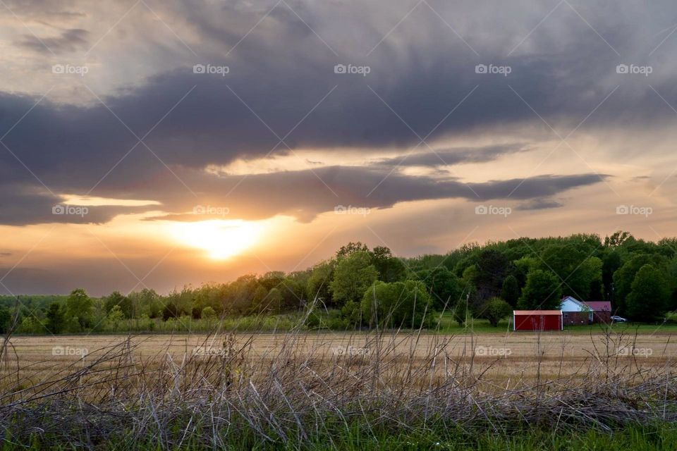 Country Meadow at Sunset