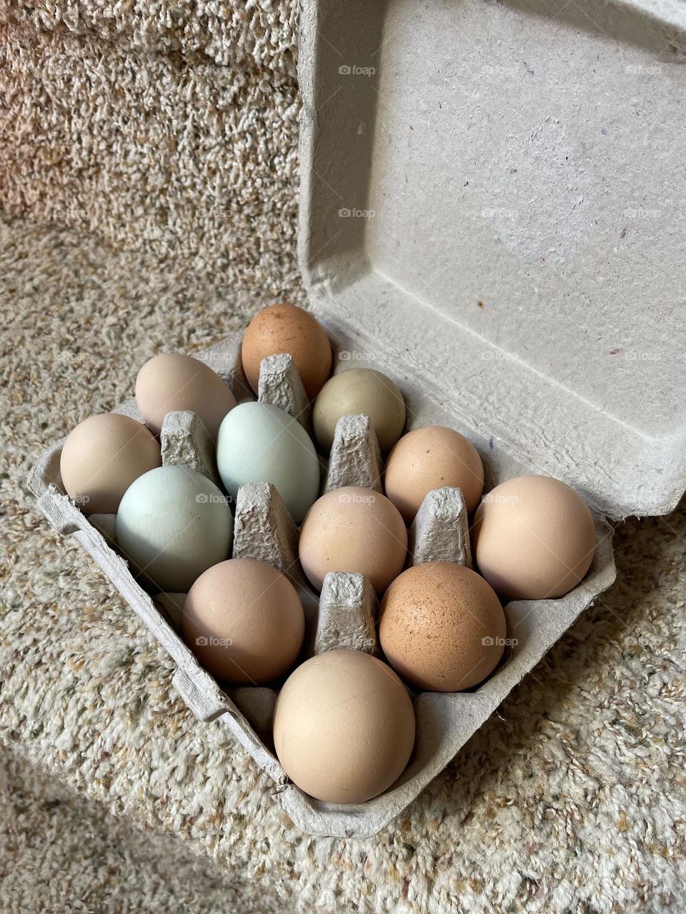 A dozen eggs