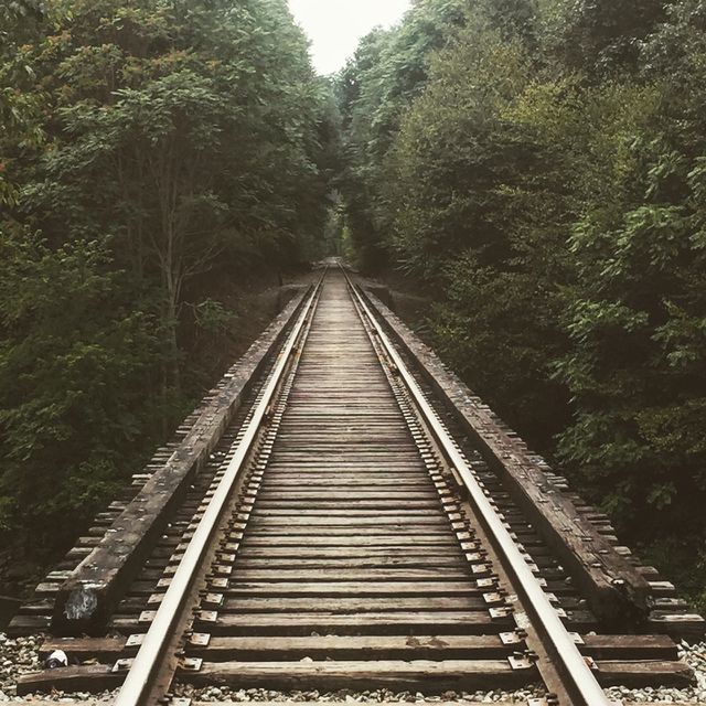Railway, Railroad Track, Locomotive, Track, Train