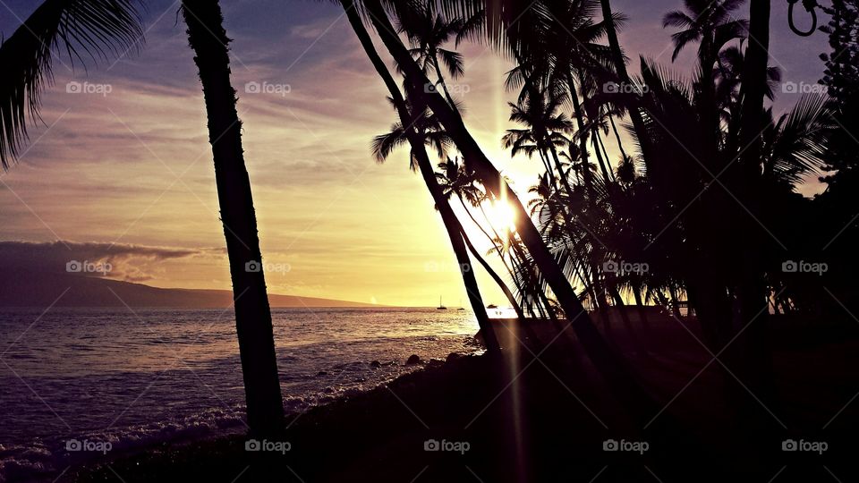 Maui sunset