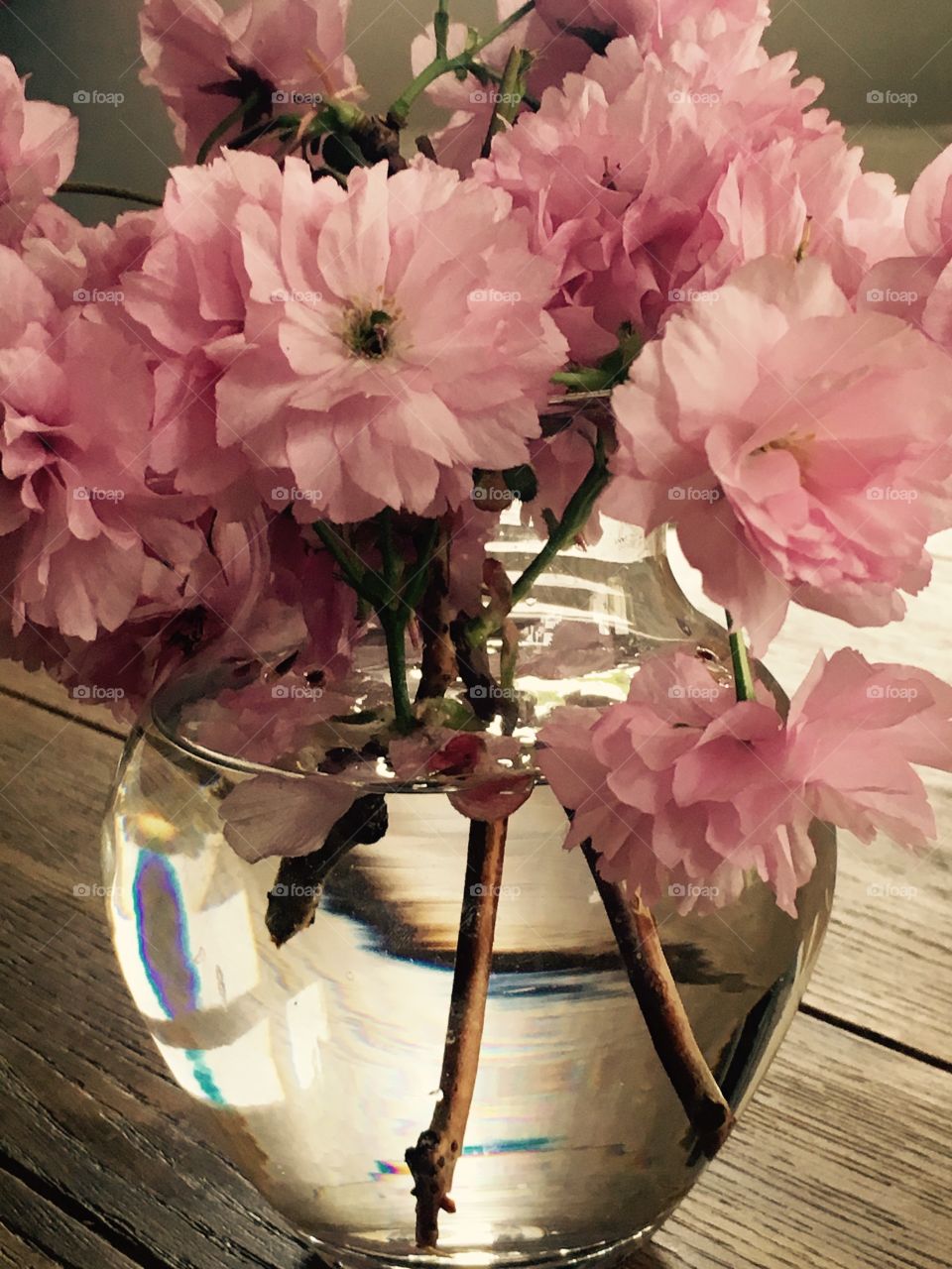 Vase of pink flowers 