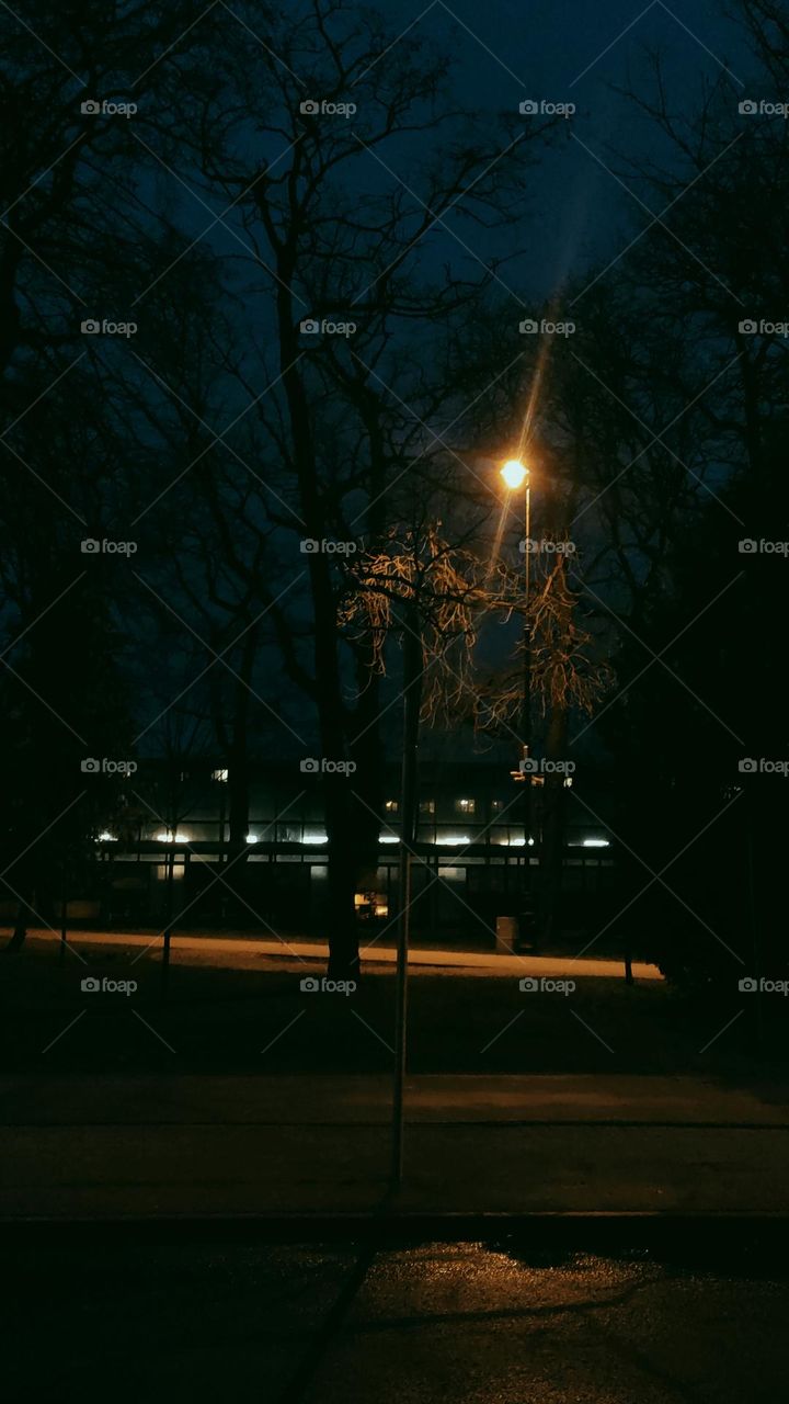 the train is heading towards your destination