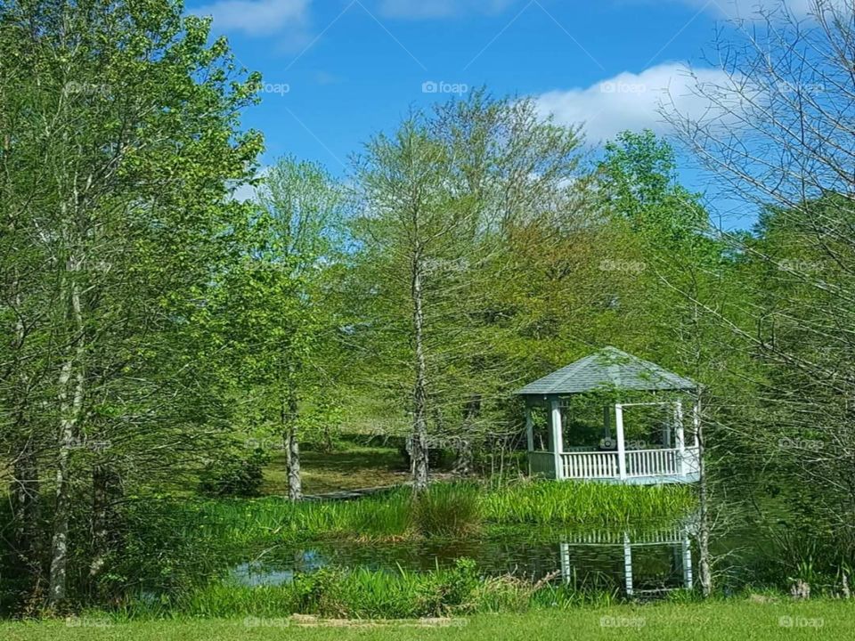 Gazebo on the pond