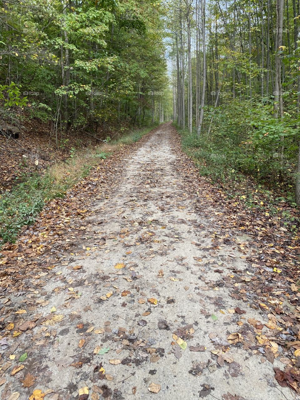 I’m on the road to no where 