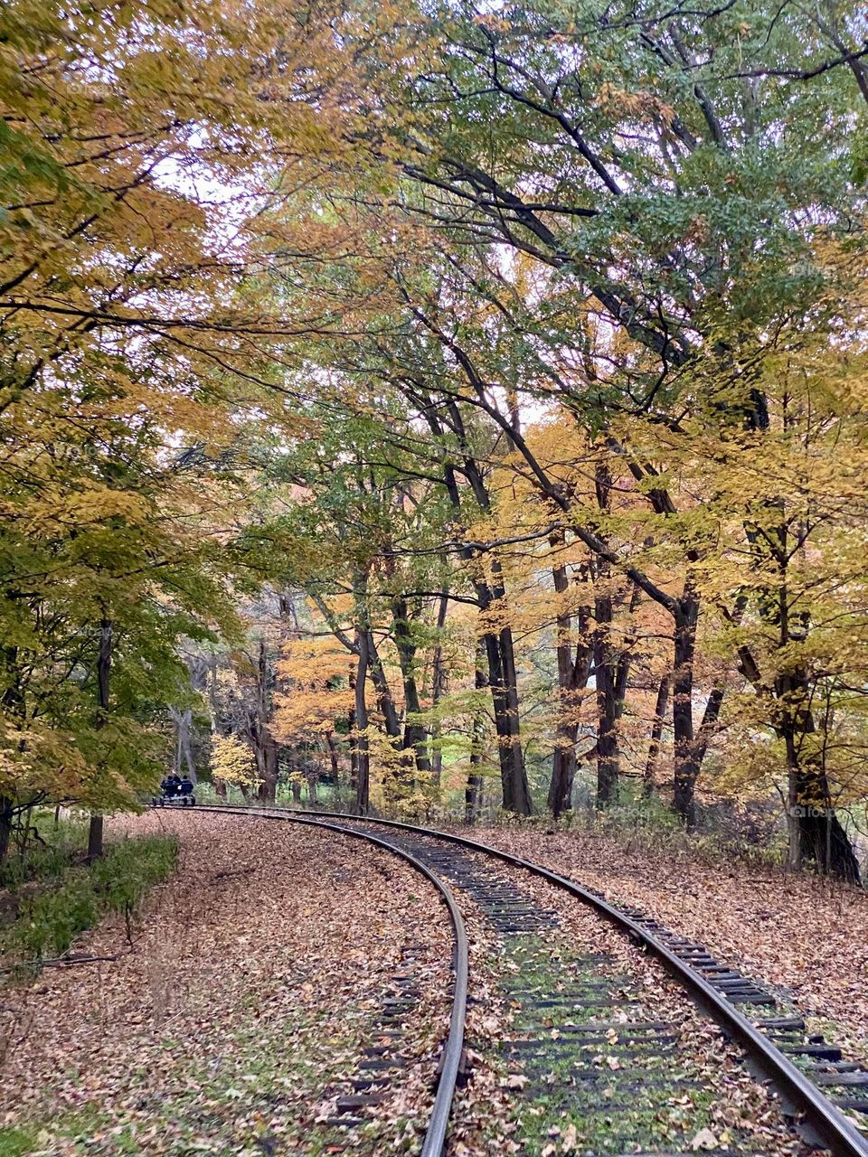 Train tracks going through an archway of trees in the fall