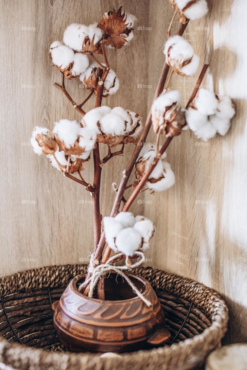 Flowers in the vase 