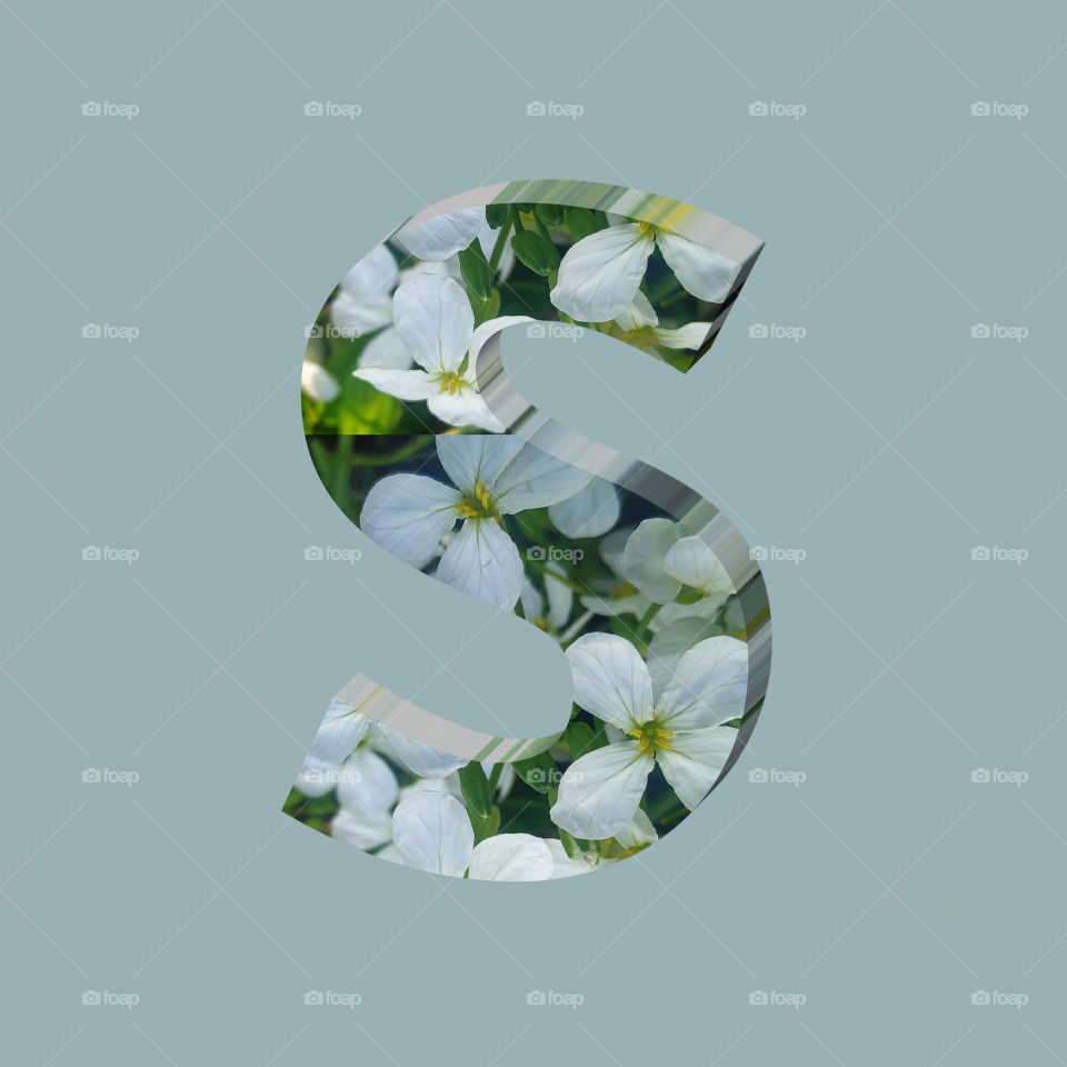S alphabet 3d rendering of vertical white flowers alphabet