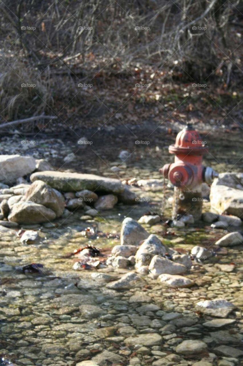 Fire hydrant in a river landscape.