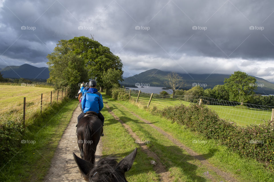 Horseback Ride through the Irish Countryside 