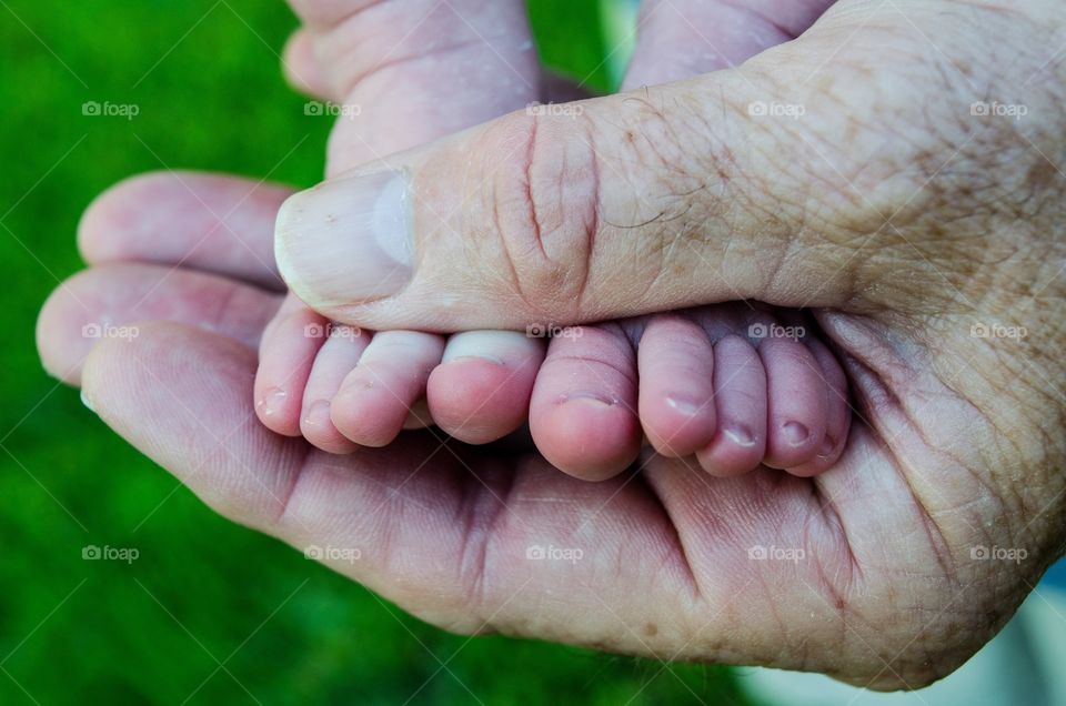 This photo shows a grandpa holding his newborn granddaughters feet.