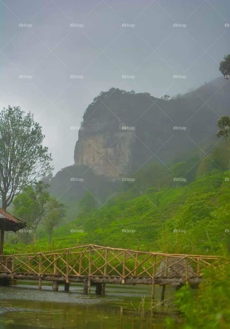 Mountain view while mist