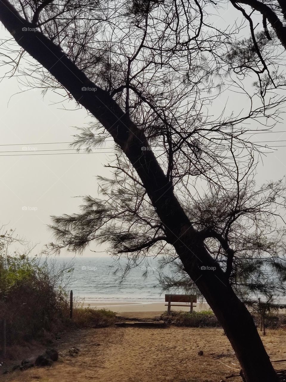 Bench by the seashore💙🌊