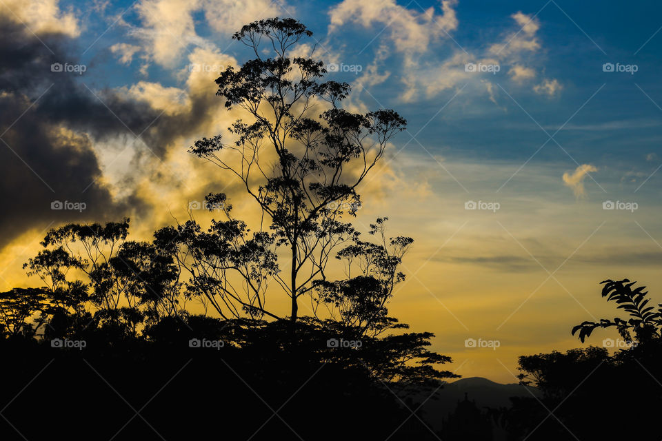 how do you like this photo