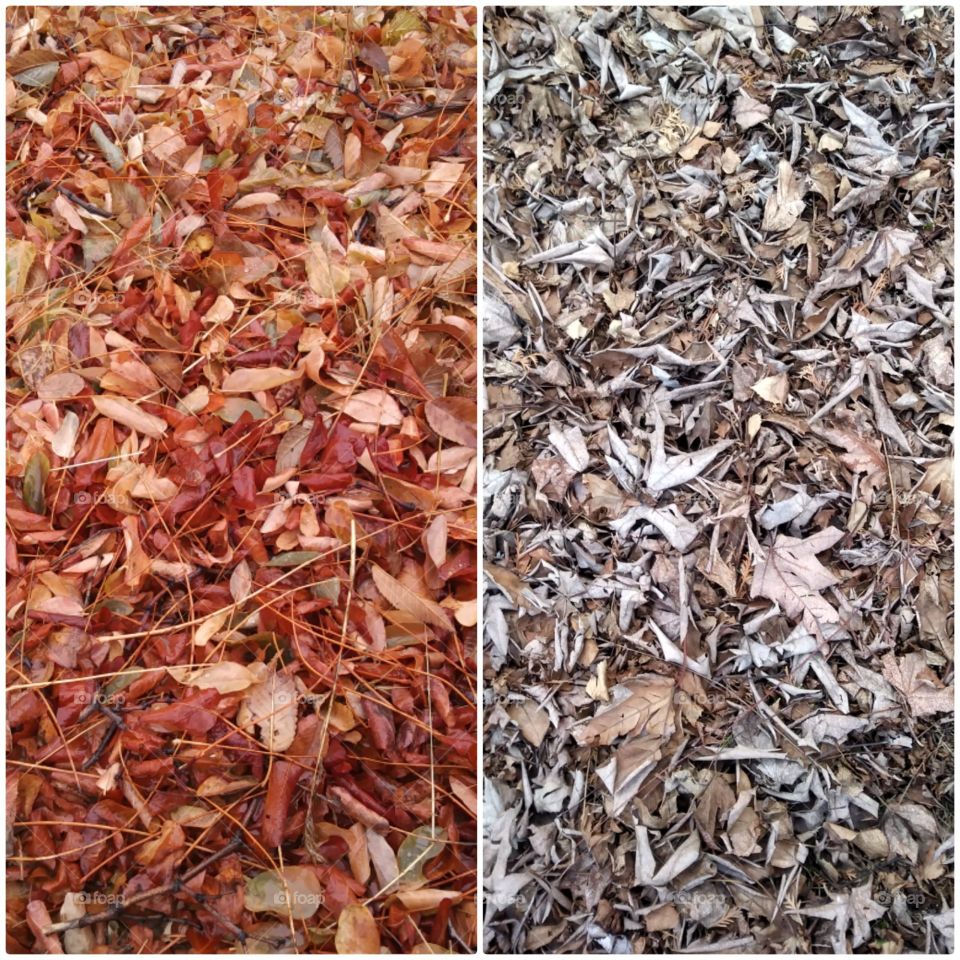 Dry, Leaf, Desktop, Ground, Texture