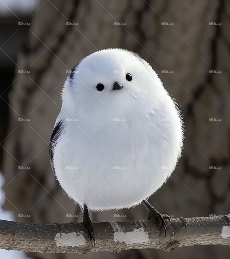 nice pitcher  🌹💐ok