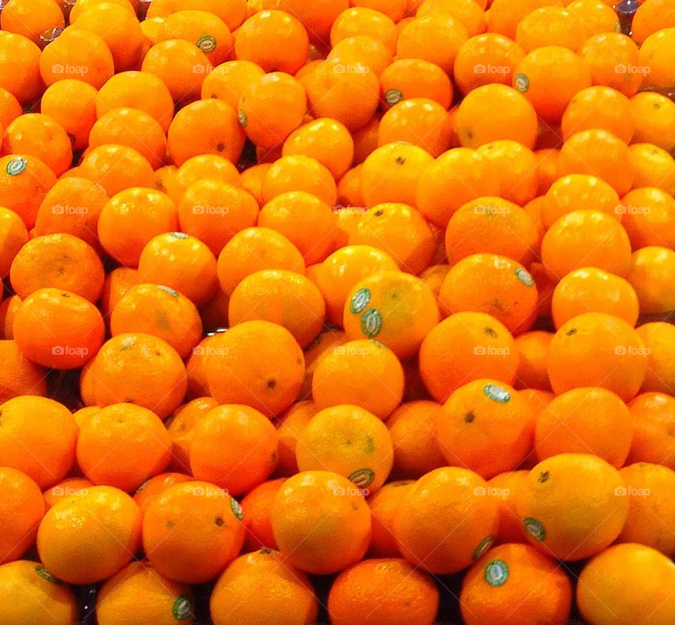 Australian Navel Oranges
