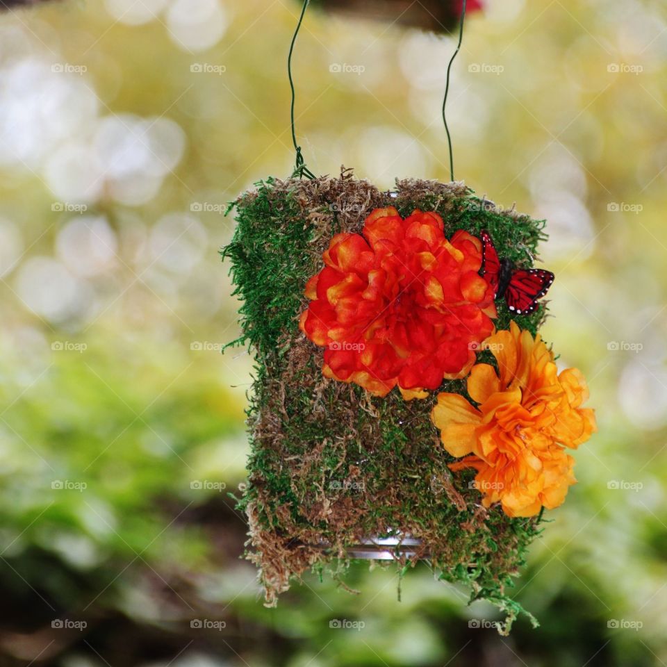 Hanging garden