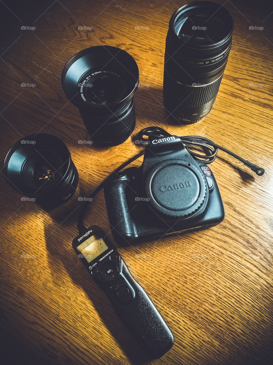 Canon Camera Gear (Rebel t5)