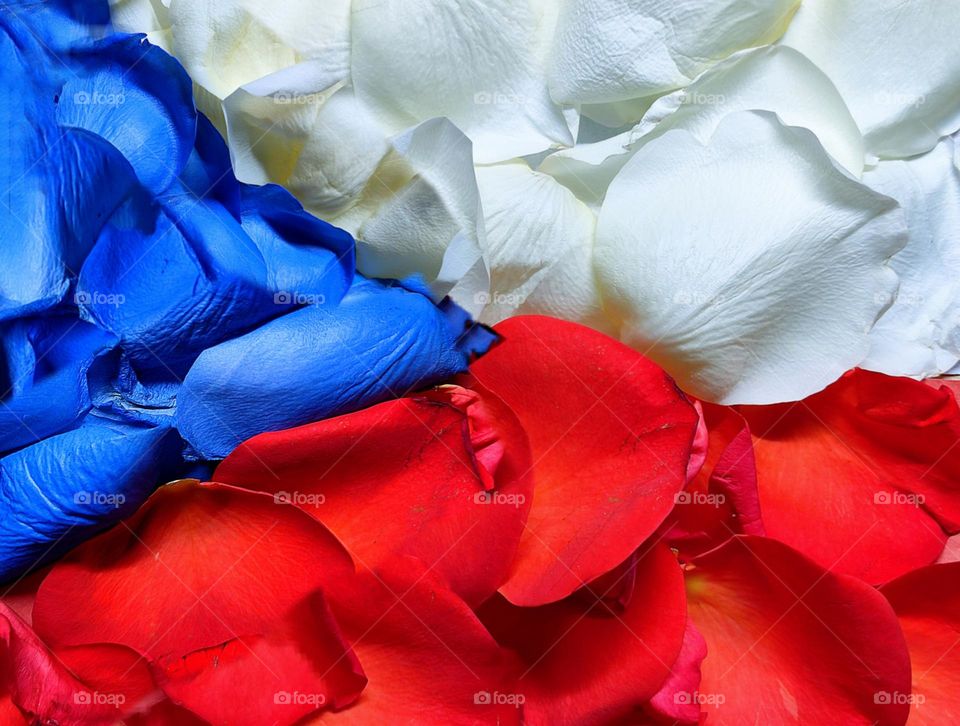 Flag of the Czech Republic. Two horizontal stripes of white rose petals and scarlet rose petals. An isosceles triangle of blue rose petals is located on the edge of the pole