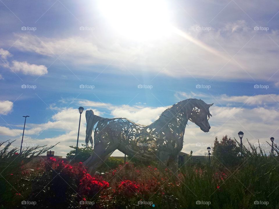 "Arabian" by artist Victoria Reed