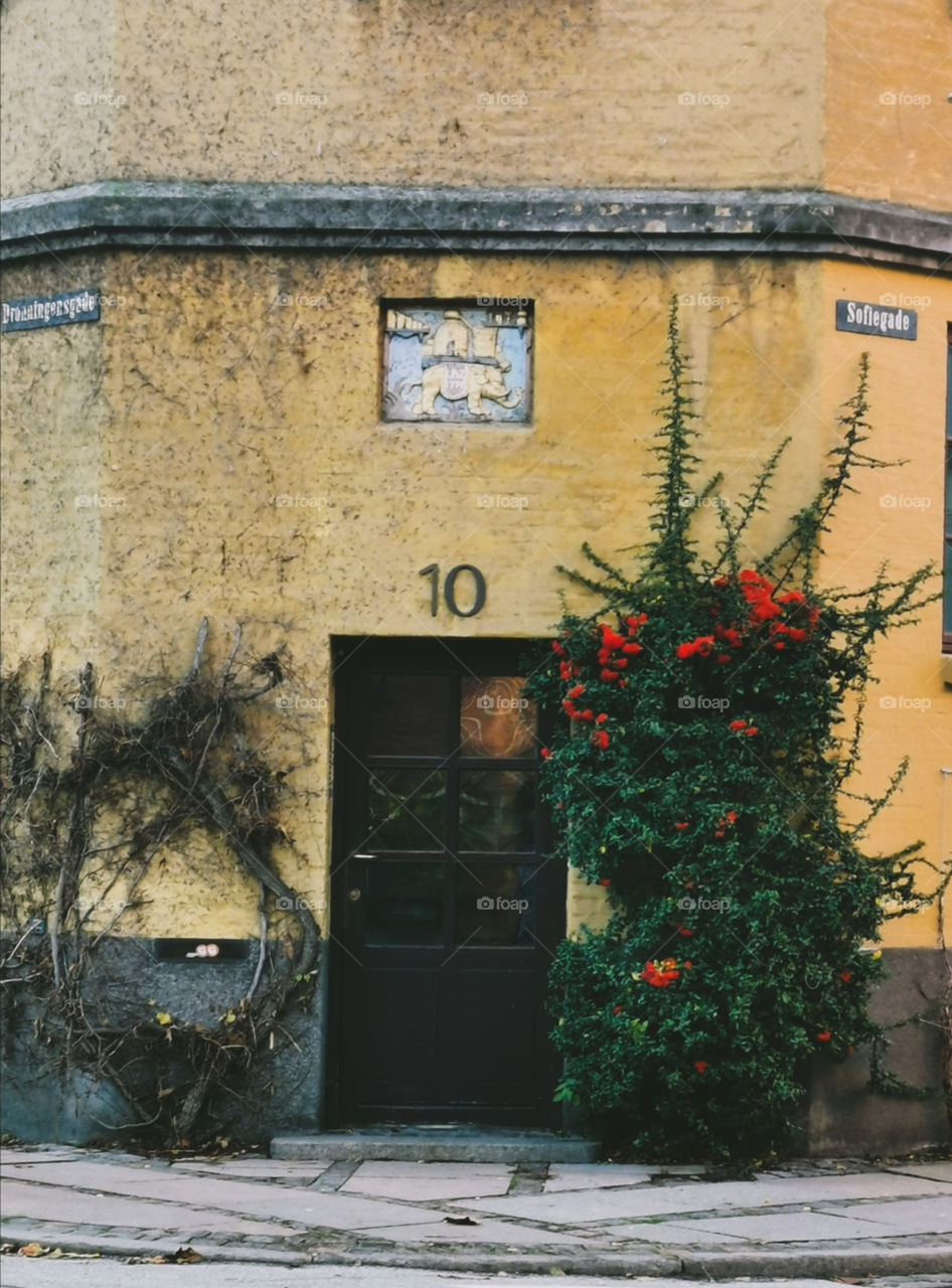 Street in danmark