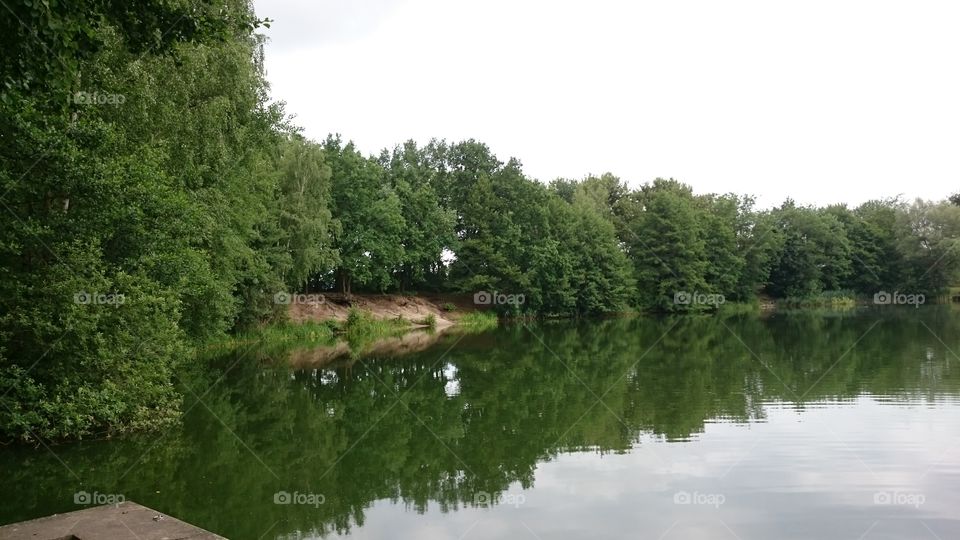 trees and sky reflecting in a lake