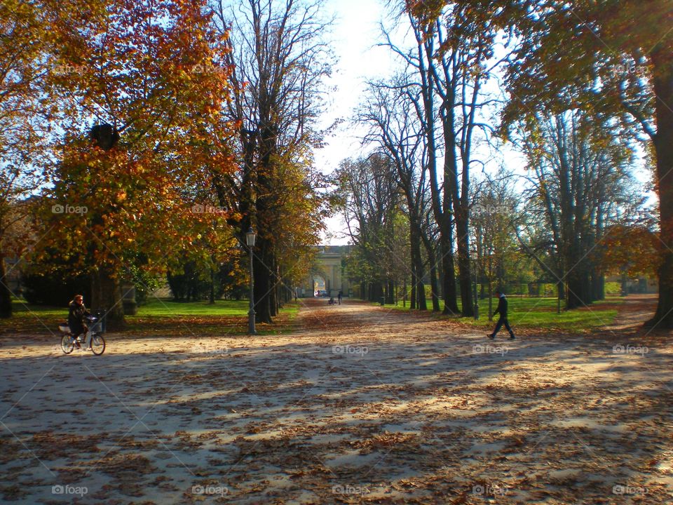 Walkway in the Parma city Park ( Italy ).