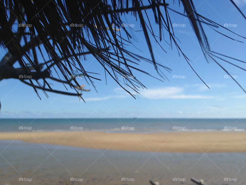 beach sky trees water by kaprillyon